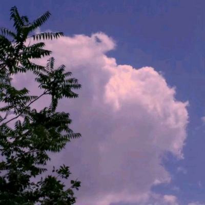 2023澳门管家婆资料正版大全app下载截图